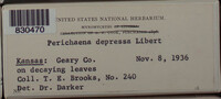 Image Associated With the Occurence